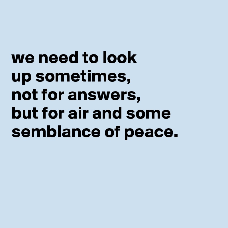 

we need to look
up sometimes,
not for answers,
but for air and some semblance of peace.



