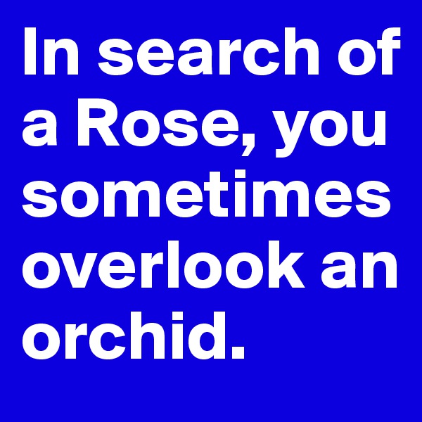In search of a Rose, you sometimes overlook an orchid.