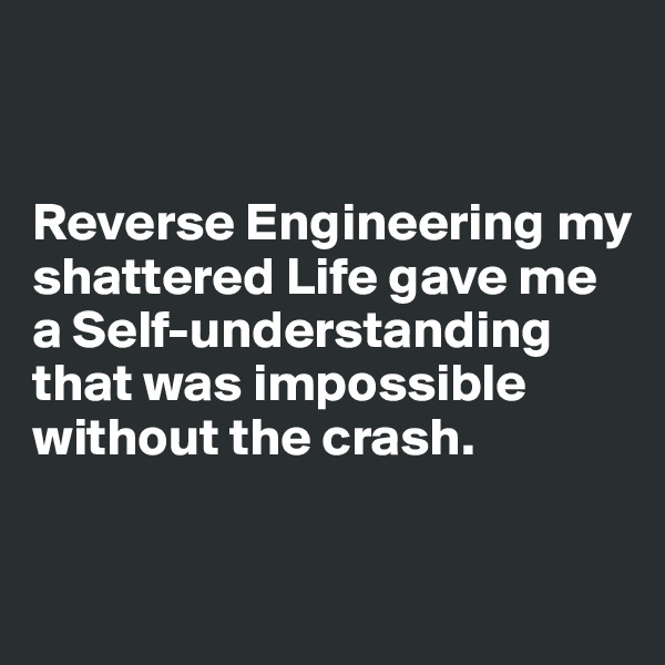 


Reverse Engineering my shattered Life gave me a Self-understanding that was impossible without the crash.

