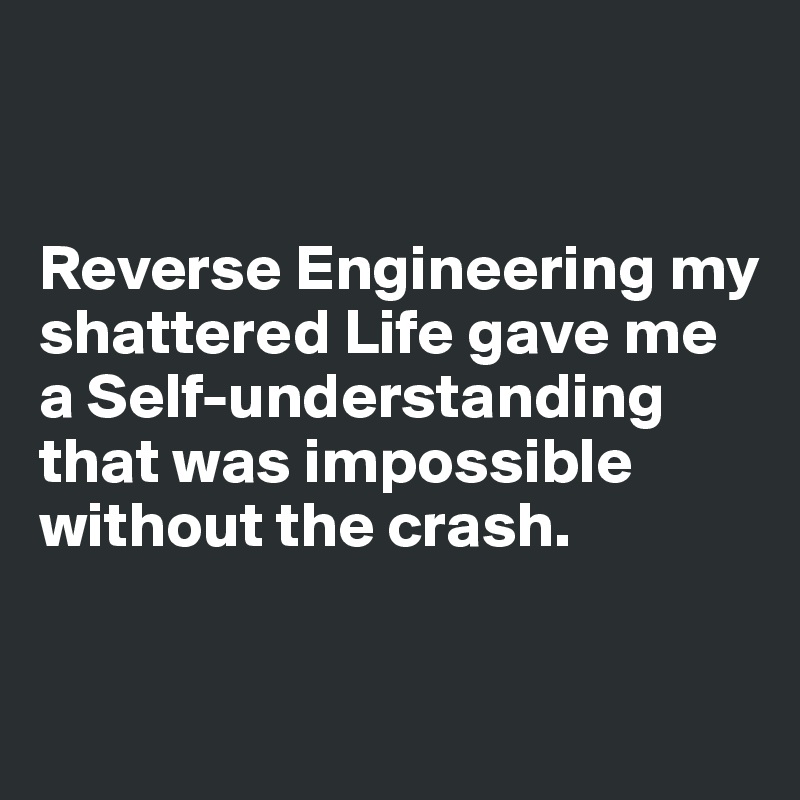


Reverse Engineering my shattered Life gave me a Self-understanding that was impossible without the crash.

