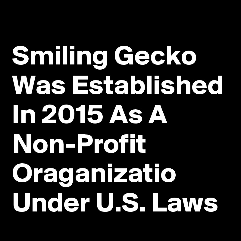 
Smiling Gecko Was Established In 2015 As A Non-Profit Oraganizatio Under U.S. Laws