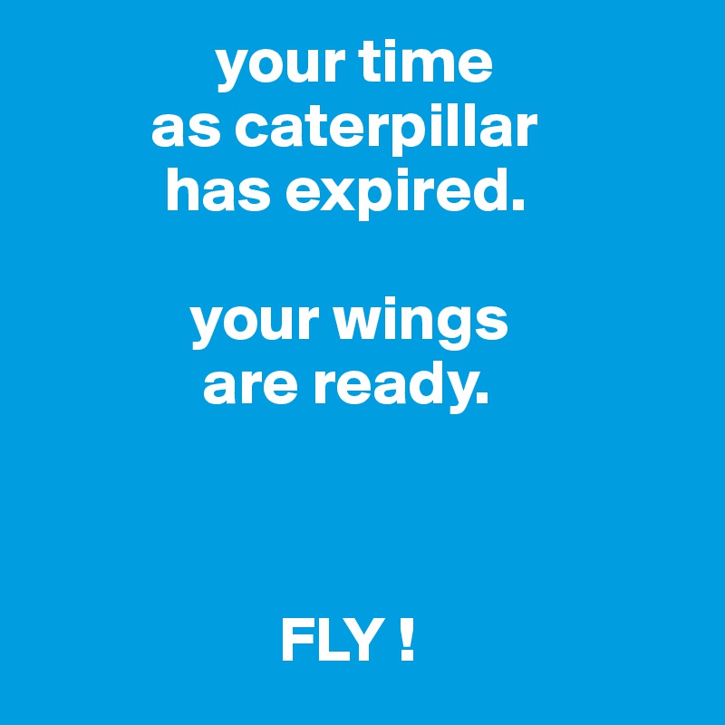              your time
         as caterpillar
          has expired.

            your wings
             are ready.


                                          
                   FLY !