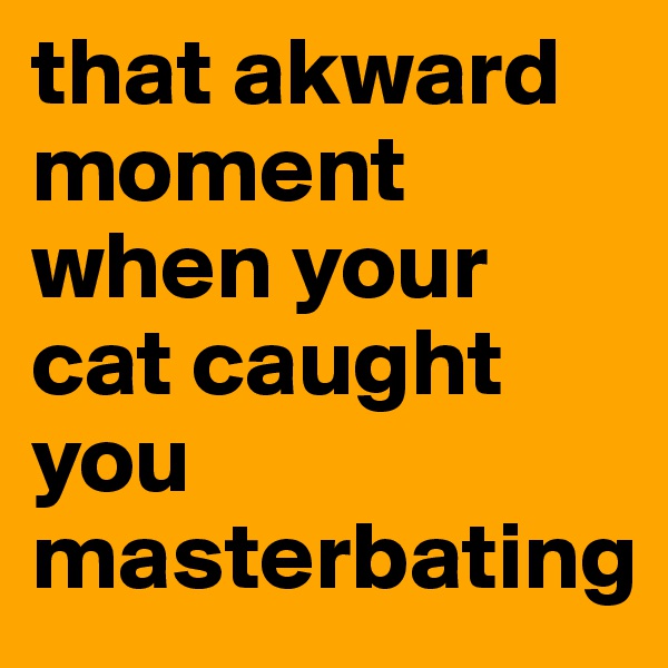 that akward moment when your cat caught you masterbating