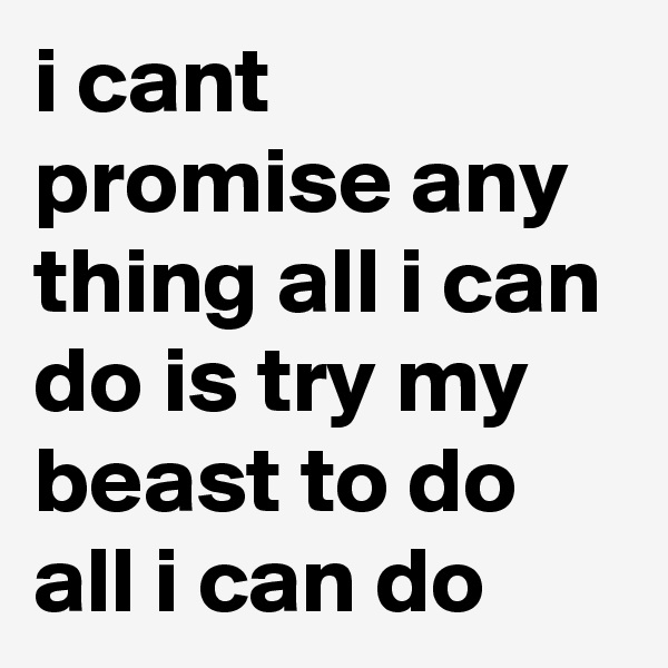 i cant promise any thing all i can do is try my beast to do all i can do