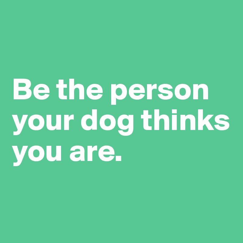 

Be the person your dog thinks you are.

