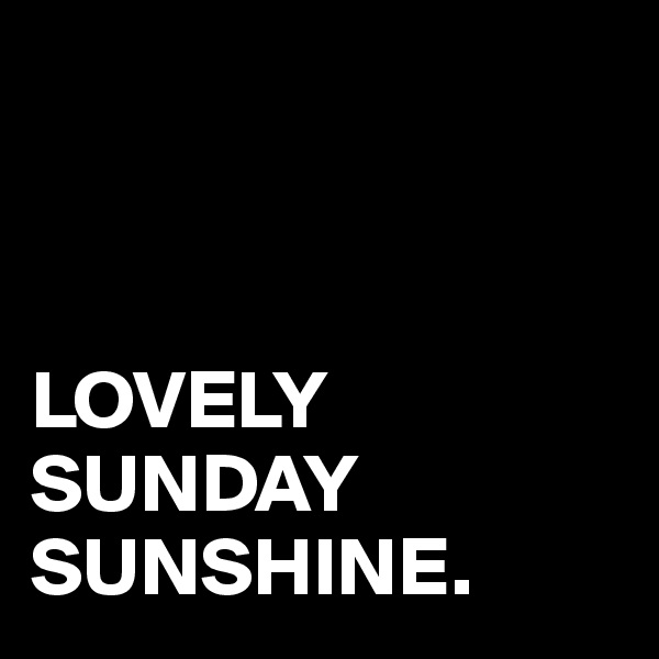 



LOVELY SUNDAY SUNSHINE.