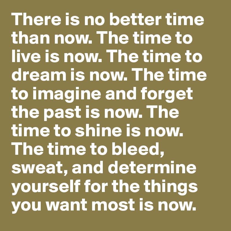 There is no better time than now. The time to live is now. The time to dream is now. The time to imagine and forget the past is now. The time to shine is now. The time to bleed, sweat, and determine yourself for the things you want most is now.