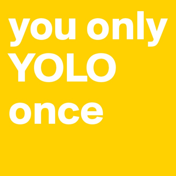 you only YOLO once