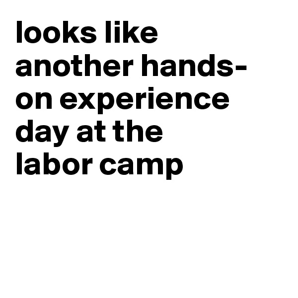looks like another hands-on experience day at the 
labor camp


