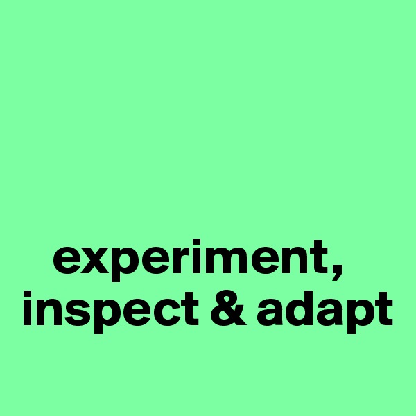 



   experiment, inspect & adapt
