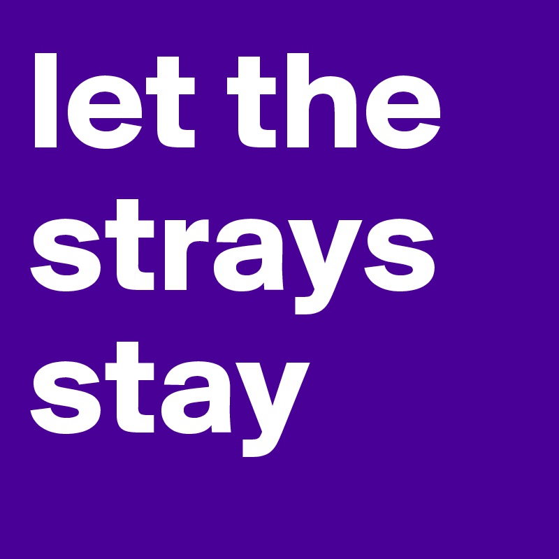 let the strays stay