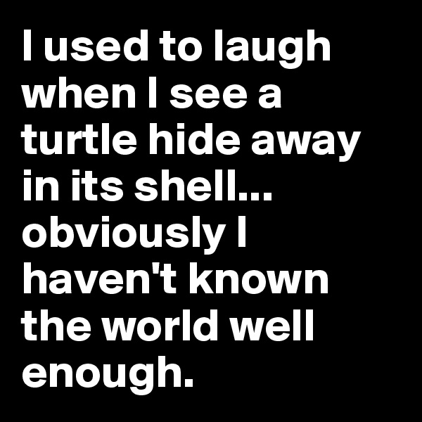 I used to laugh when I see a turtle hide away in its shell... obviously I haven't known the world well enough. 