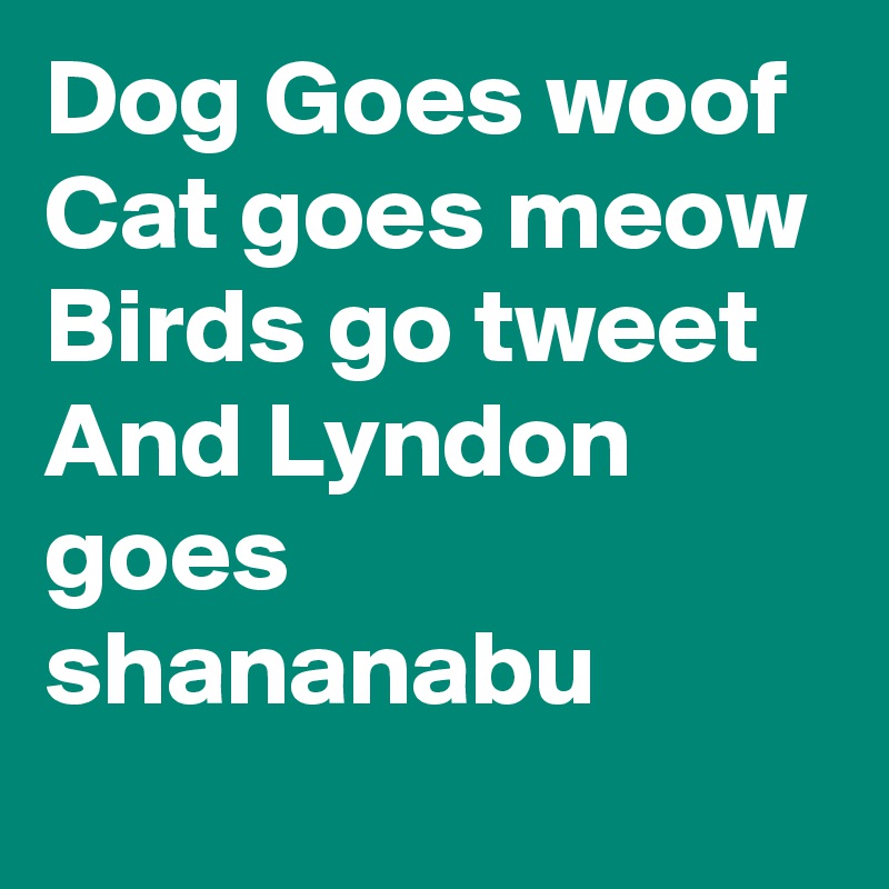 Dog Goes woof Cat goes meow Birds go tweet And Lyndon goes shananabu
