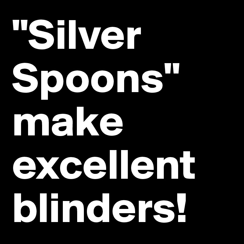 "Silver Spoons" make excellent blinders!