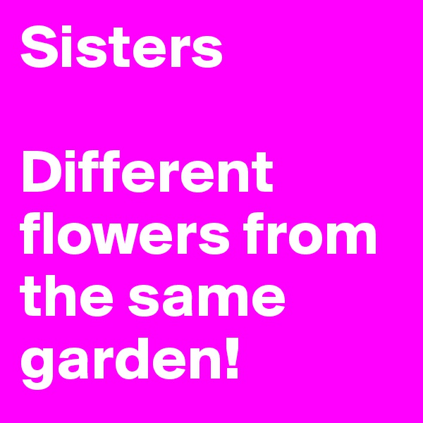 Sisters

Different flowers from the same garden!
