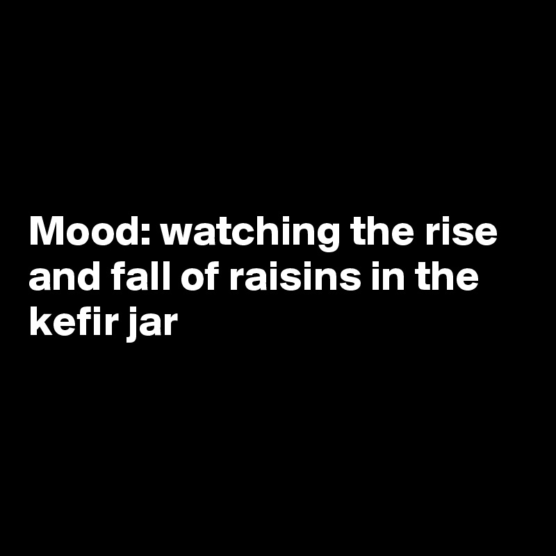 



Mood: watching the rise and fall of raisins in the kefir jar   



