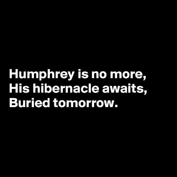 



Humphrey is no more,
His hibernacle awaits,
Buried tomorrow.



