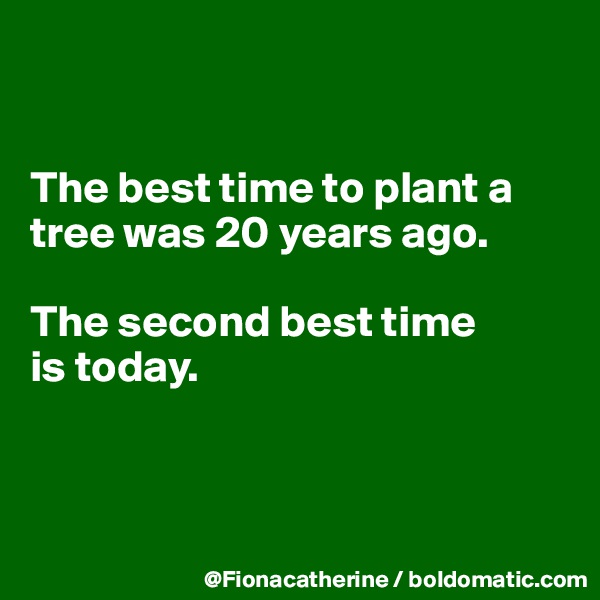 


The best time to plant a
tree was 20 years ago.

The second best time
is today.



