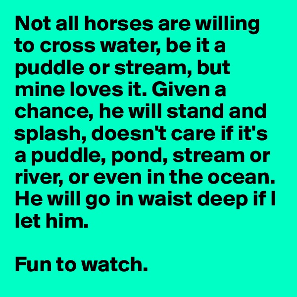 Not all horses are willing to cross water, be it a puddle or stream, but mine loves it. Given a chance, he will stand and splash, doesn't care if it's a puddle, pond, stream or river, or even in the ocean. He will go in waist deep if I let him.

Fun to watch. 