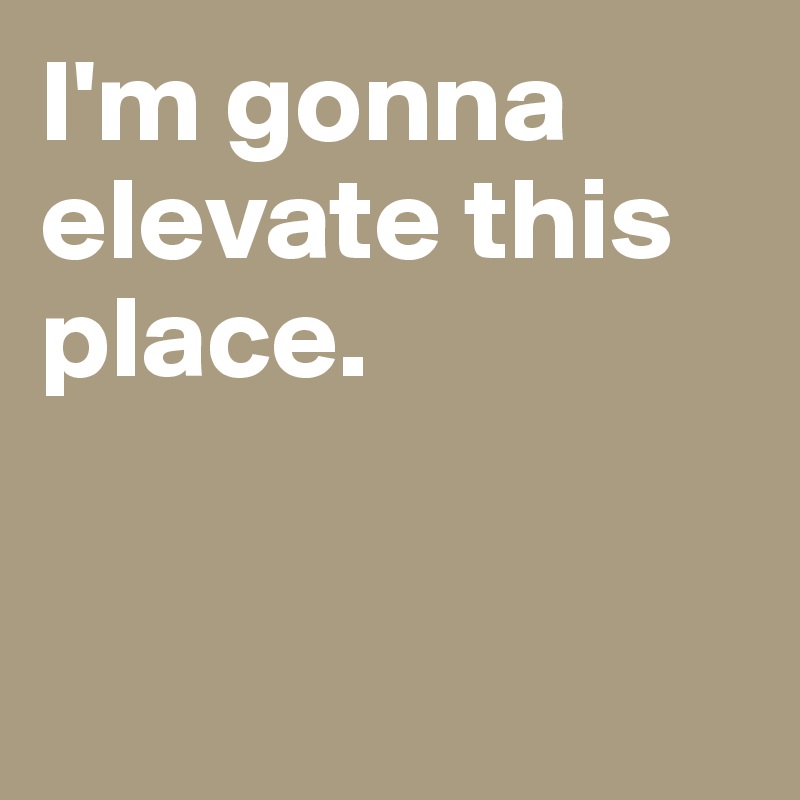 I'm gonna elevate this place. 


