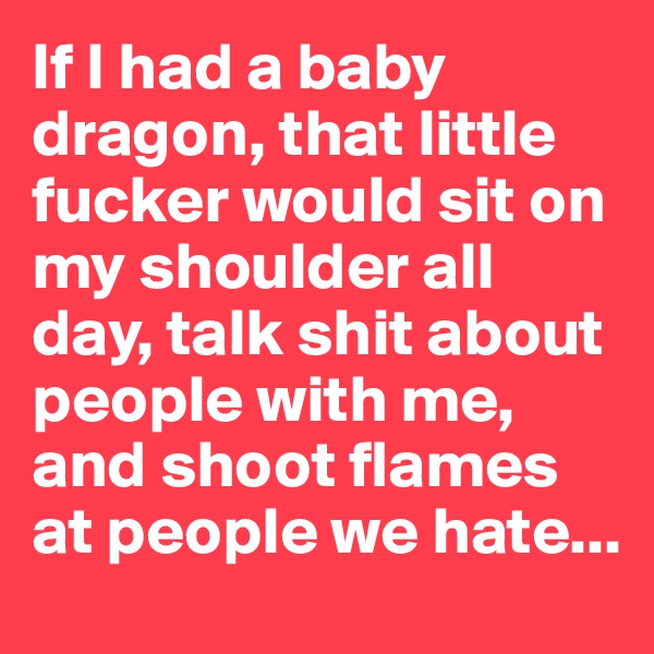 If I had a baby dragon, that little fucker would sit on my shoulder all day, talk shit about people with me, and shoot flames at people we hate...