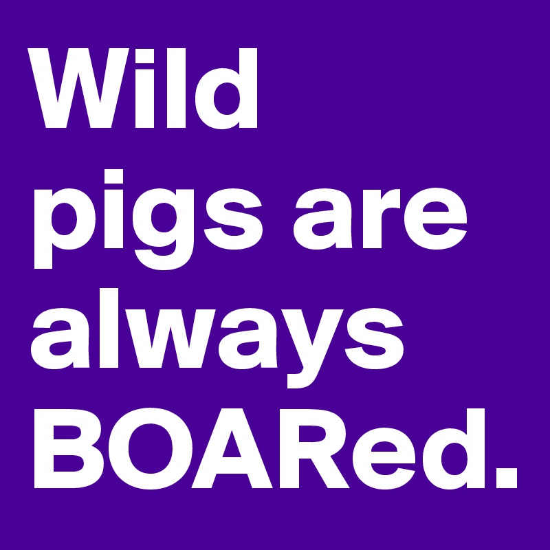 Wild pigs are always BOARed.