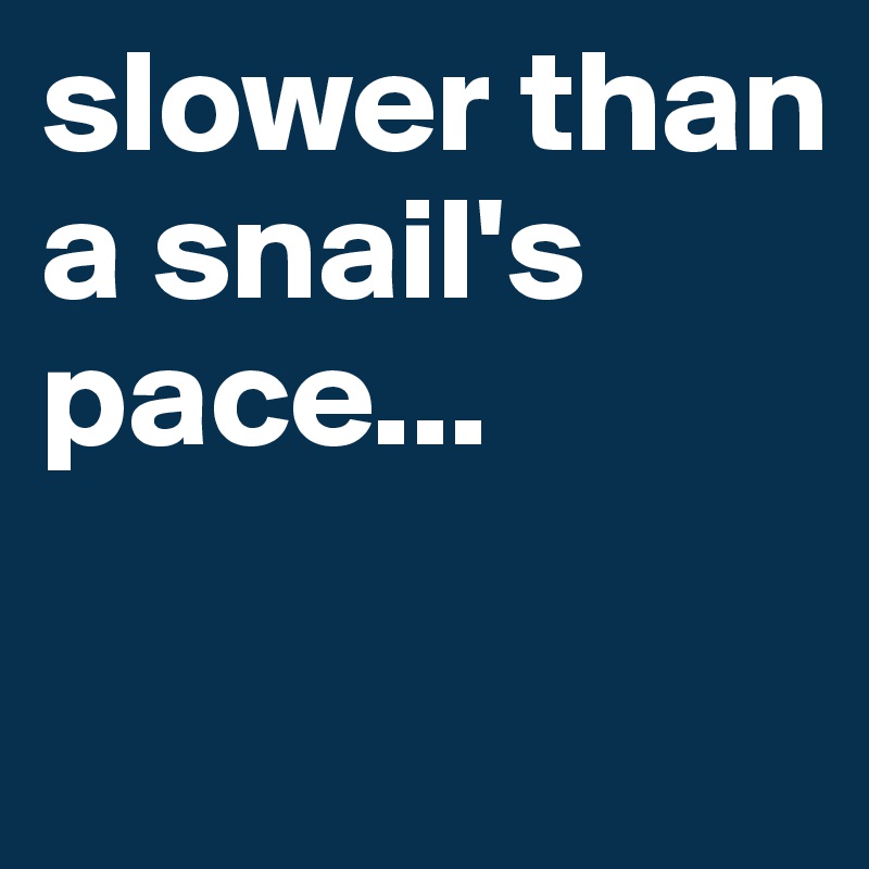 slower than a snail's pace...

