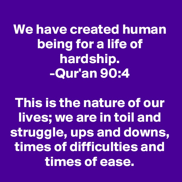 We have created human being for a life of hardship.
-Qur'an 90:4

This is the nature of our lives; we are in toil and struggle, ups and downs, times of difficulties and times of ease.