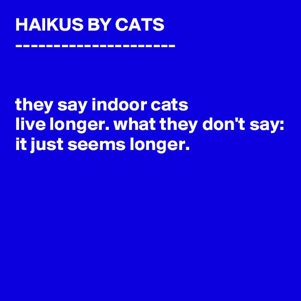 HAIKUS BY CATS
---------------------


they say indoor cats
live longer. what they don't say:
it just seems longer.





