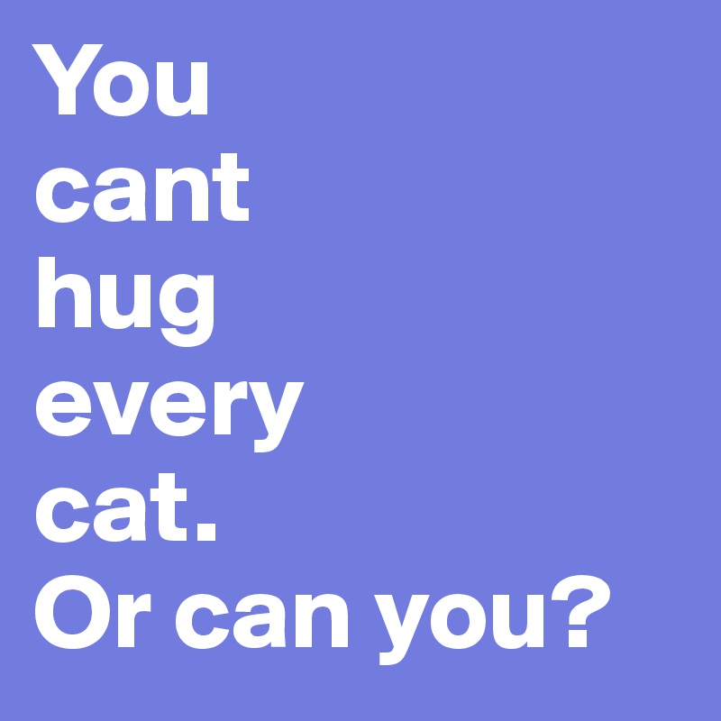 You
cant
hug
every
cat.
Or can you?