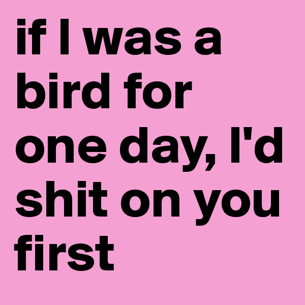 if l was a bird for one day, l'd shit on you first