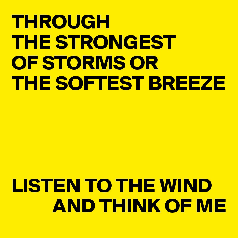 THROUGH 
THE STRONGEST
OF STORMS OR
THE SOFTEST BREEZE




LISTEN TO THE WIND
          AND THINK OF ME