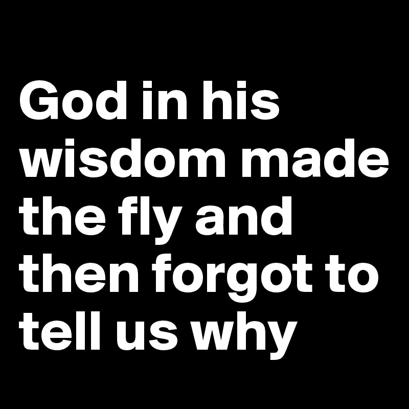 
God in his wisdom made the fly and then forgot to tell us why