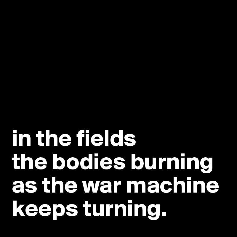 




in the fields 
the bodies burning
as the war machine 
keeps turning.