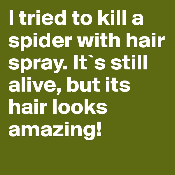 I tried to kill a spider with hair spray. It`s still alive, but its hair looks amazing! 
