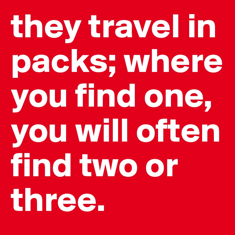 they travel in packs; where you find one, you will often find two or three. 