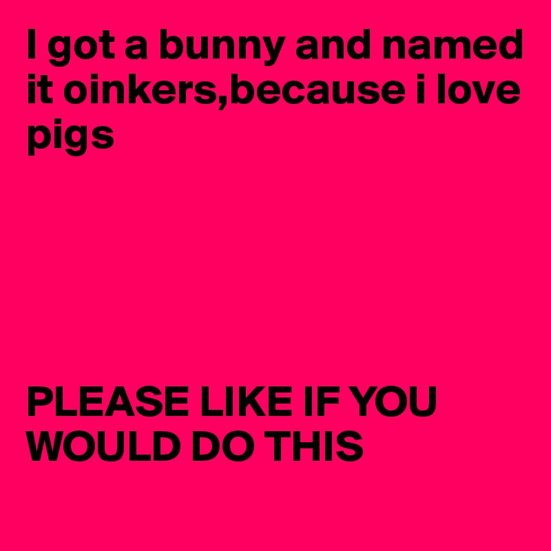 I got a bunny and named it oinkers,because i love pigs





PLEASE LIKE IF YOU WOULD DO THIS 