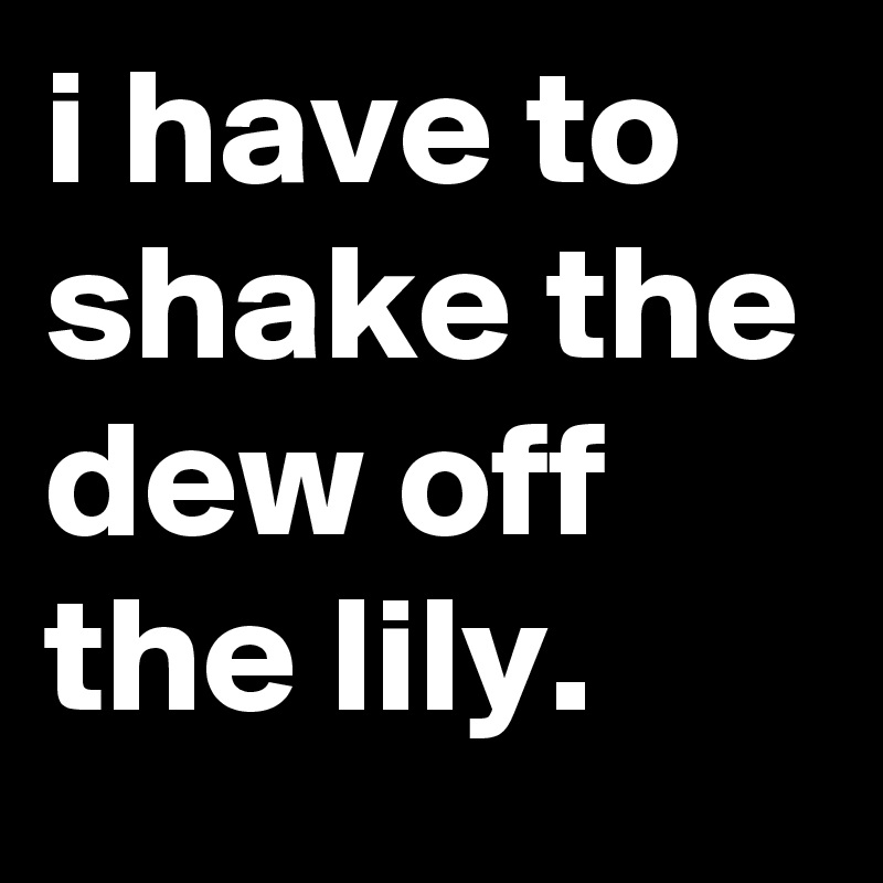 i have to shake the dew off the lily.