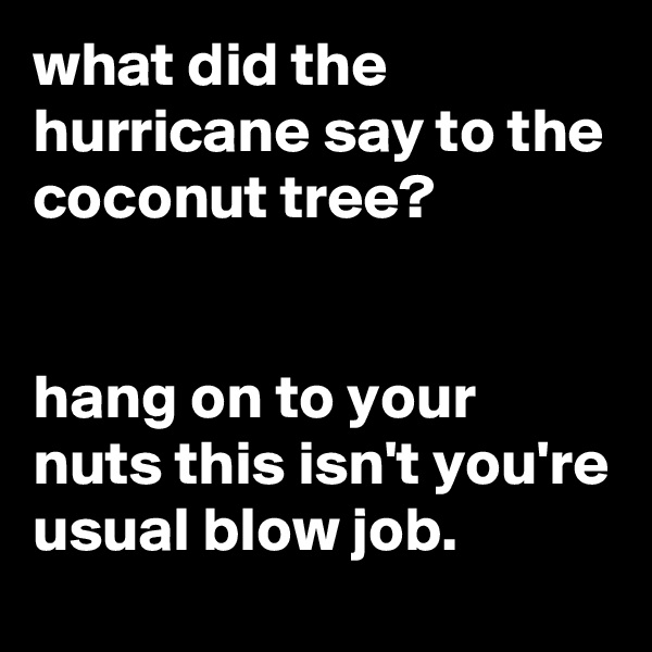 what did the hurricane say to the coconut tree?


hang on to your nuts this isn't you're usual blow job.