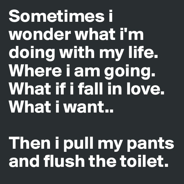 Sometimes i wonder what i'm doing with my life. Where i am going. What if i fall in love. What i want..

Then i pull my pants and flush the toilet. 