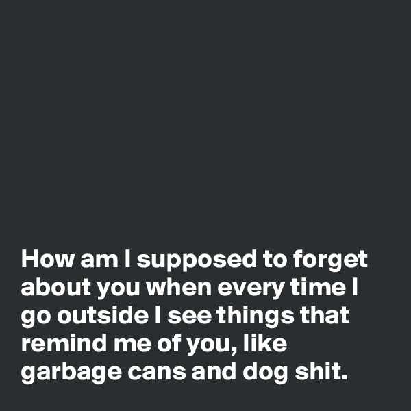 







How am I supposed to forget about you when every time I go outside I see things that remind me of you, like garbage cans and dog shit.