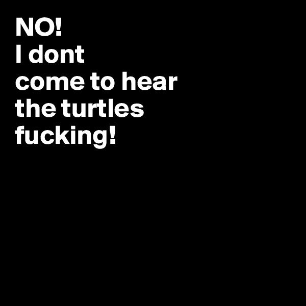 NO!
I dont 
come to hear 
the turtles 
fucking!




