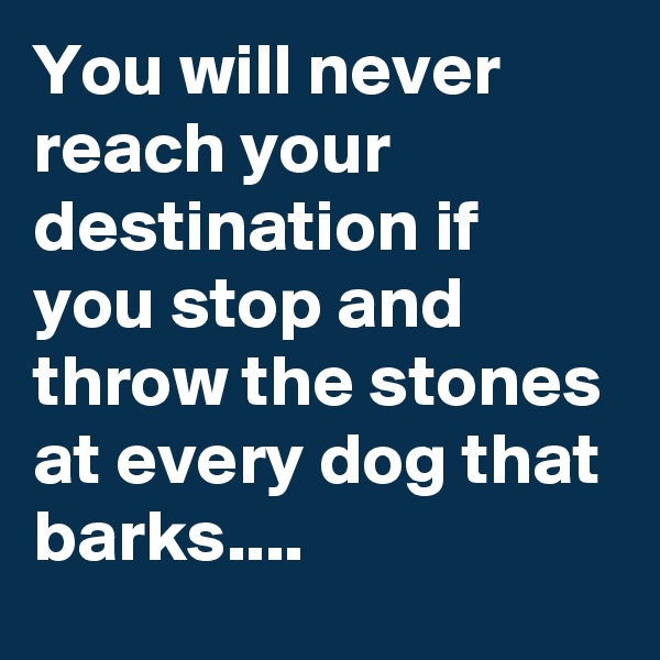 You will never reach your destination if you stop and throw the stones at every dog that barks....