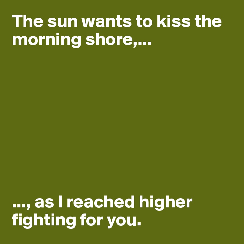 The sun wants to kiss the morning shore,...








..., as I reached higher fighting for you. 