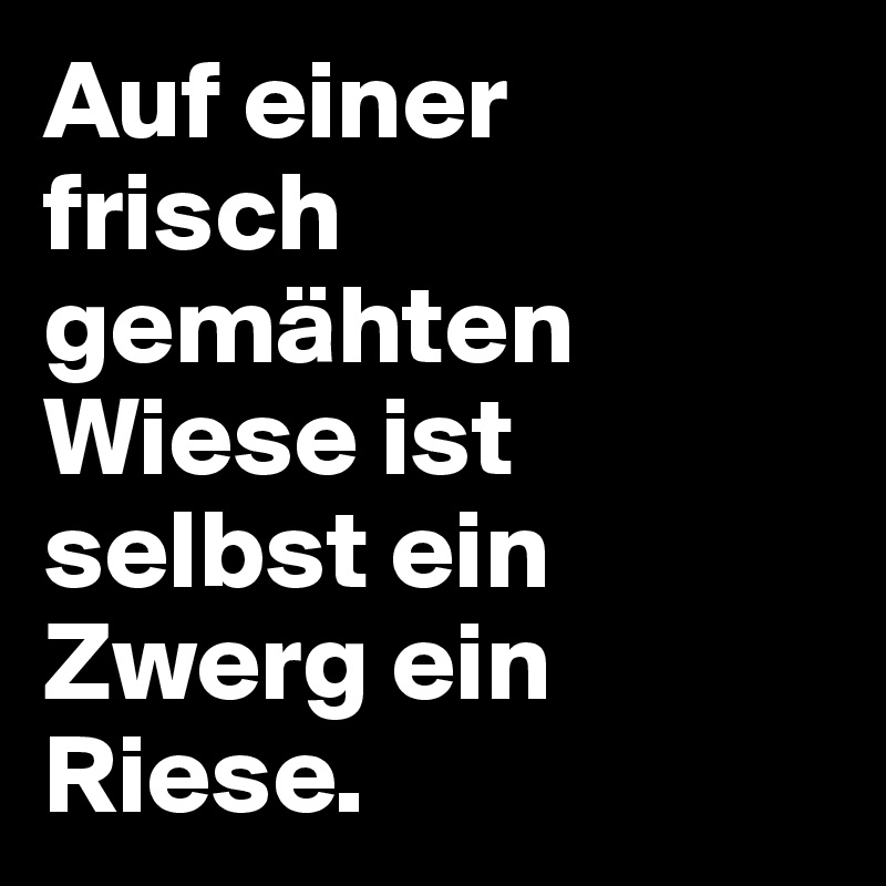 Auf einer  frisch gemähten Wiese ist selbst ein Zwerg ein Riese.