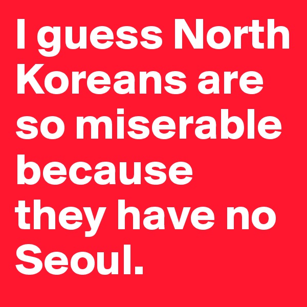 I guess North Koreans are so miserable because they have no Seoul.