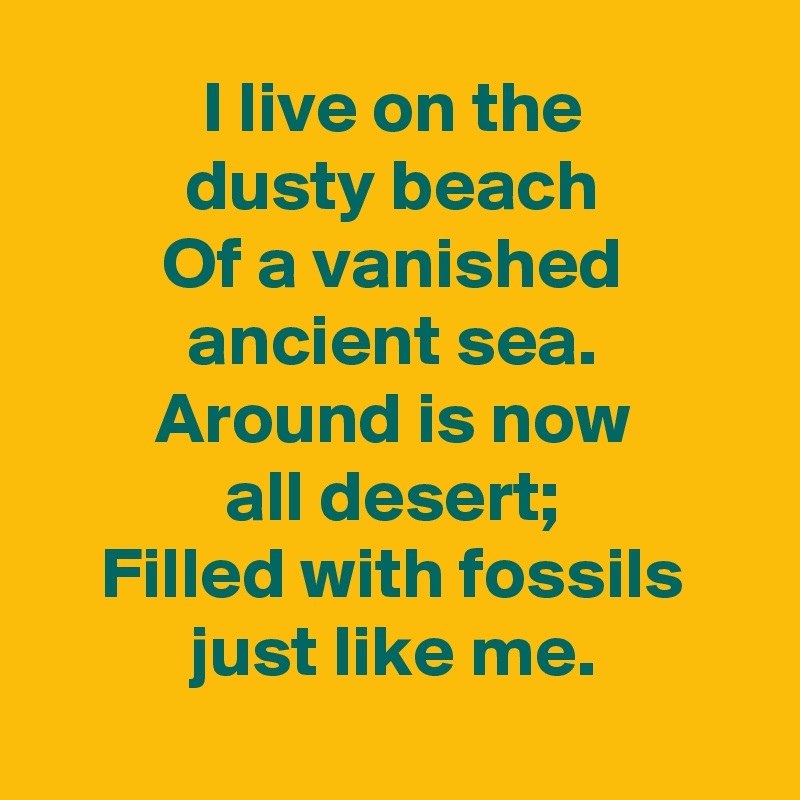 I live on the
dusty beach
Of a vanished ancient sea.
Around is now
all desert;
Filled with fossils just like me.
