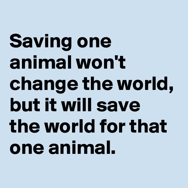 
Saving one animal won't change the world, but it will save the world for that one animal.