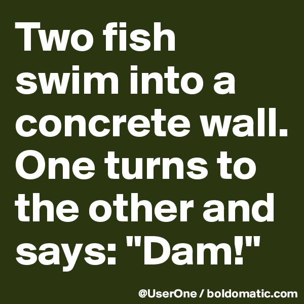 Two fish swim into a concrete wall.
One turns to the other and says: "Dam!"