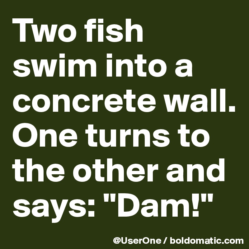 Two fish swim into a concrete wall.
One turns to the other and says: "Dam!"